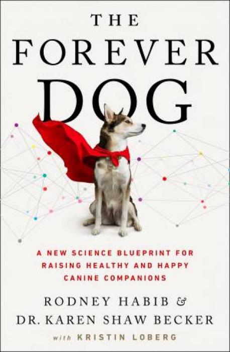 The Forever Dog by Karen Becker & Rodney Habib Paperback book