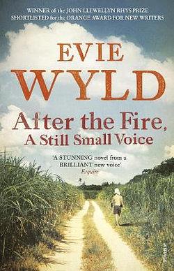 After the Fire, A Still Small Voice by Evie Wyld BOOK book