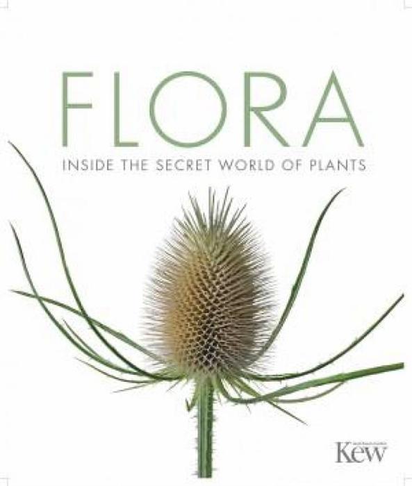 Flora: The Definitive Visual Guide To The Plant Kingdom by Various Hardcover book