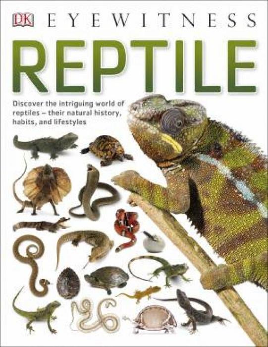 Eyewitness: Reptile by DK Paperback book