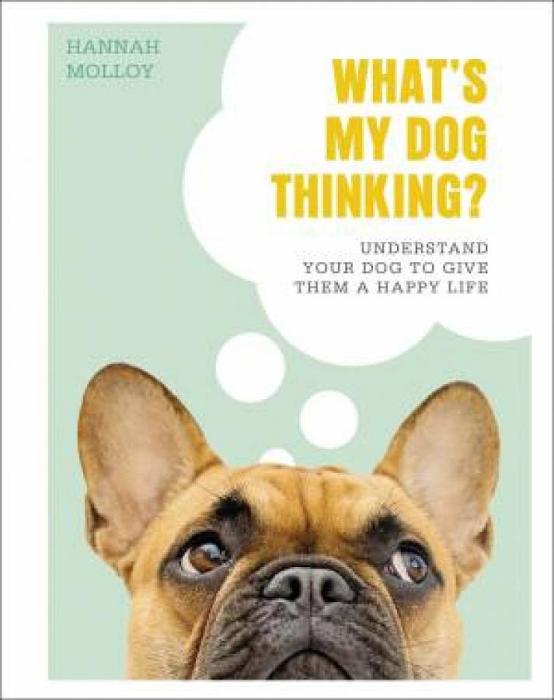 What's My Dog Thinking? by Hannah Molloy Hardcover book