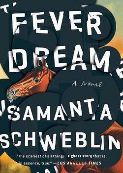 Fever Dream by Samanta Schweblin BOOK book
