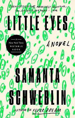 Little Eyes by Samanta Schweblin BOOK book