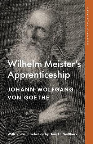 Wilhelm Meister's Apprenticeship by Johann Wolfgang Von Goethe BOOK book