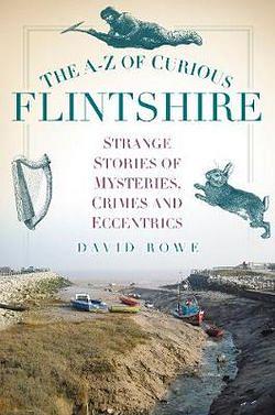 The a-Z of Curious Flintshire by David Rowe BOOK book