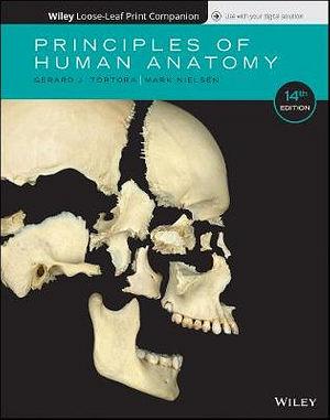 Principles of Human Anatomy, Fourteenth Edition Binder Ready Version by Gerard J Tortora BOOK book