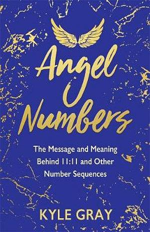 Angel Numbers: The Messages And Meaning Behind 11:11 And Other Number Sequences by Kyle Gray Paperback book