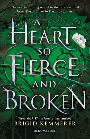 A Heart So Fierce And Broken by Brigid Kemmerer Paperback book