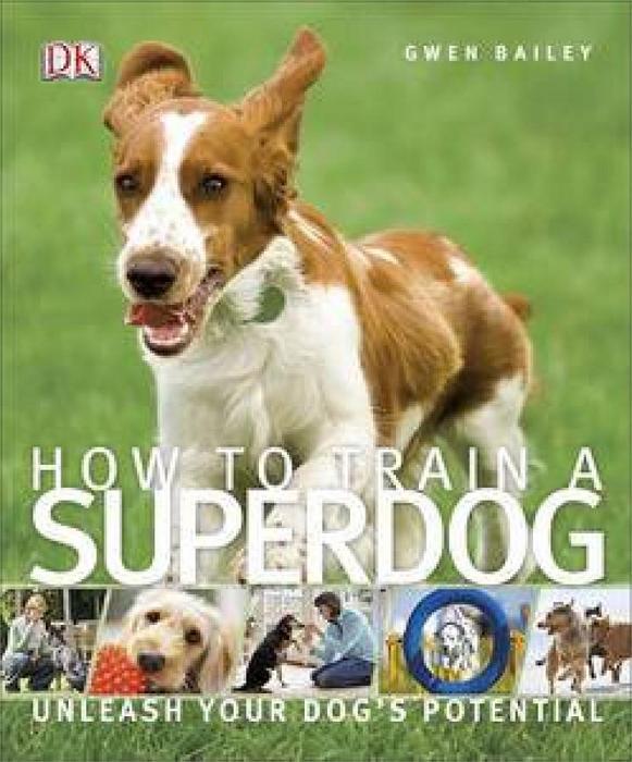 How to Train a Superdog by Gwen Bailey Paperback book