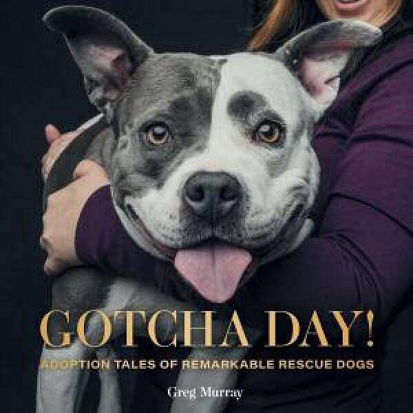 Gotcha Day! by Greg Murray Hardcover book
