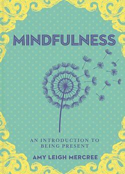 Little Bit of Mindfulness, A by Amy Leigh Mercree BOOK book