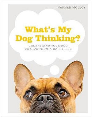 What's My Dog Thinking? by Hannah Molloy BOOK book
