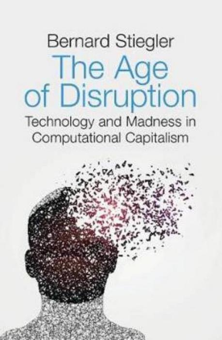 The Age Of Disruption: Technology And Madness In Computational Capitalism by Bernard Stiegler Paperback book