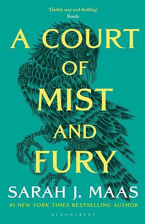 A Court Of Mist And Fury by Sarah J. Maas Paperback book