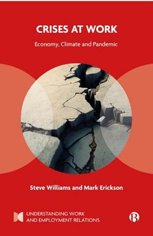 Crises at Work by Steve Williams BOOK book