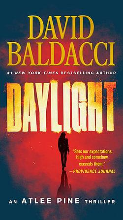 Daylight by David Baldacci BOOK book