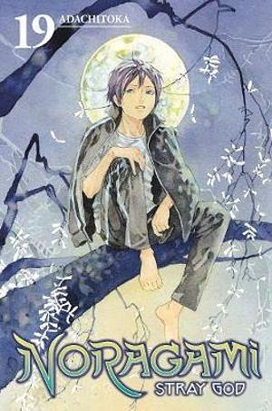 Noragami: Stray God 19 by Adachitoka Paperback book