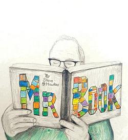 Mr. Book by Steve Hawkes BOOK book
