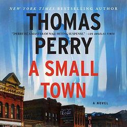 A Small Town by Thomas Perry  book