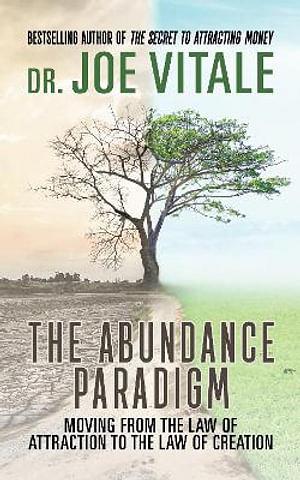 The Abundance Paradigm by Joe Vitale BOOK book