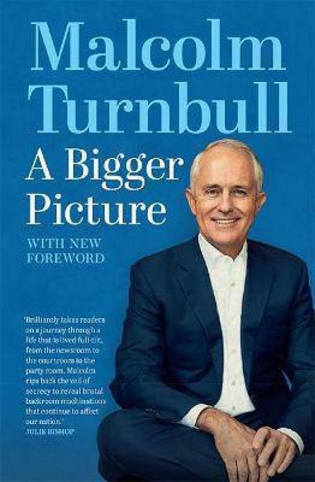 A Bigger Picture by Malcolm Turnbull Paperback book