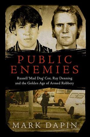 Public Enemies by Mark Dapin Paperback book