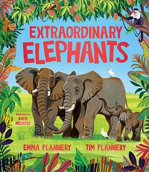 Extraordinary Elephants by Emma Flannery & Tim Flannery Hardcover book