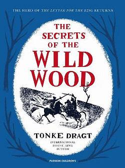 The Secrets of the Wild Wood by Tonke Dragt BOOK book
