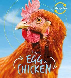Lifecycles: Egg to Chicken by Camilla De La Bedoyere BOOK book