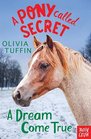 A Dream Come True (Pony Called Secret 4) by Olivia Tuffin BOOK book
