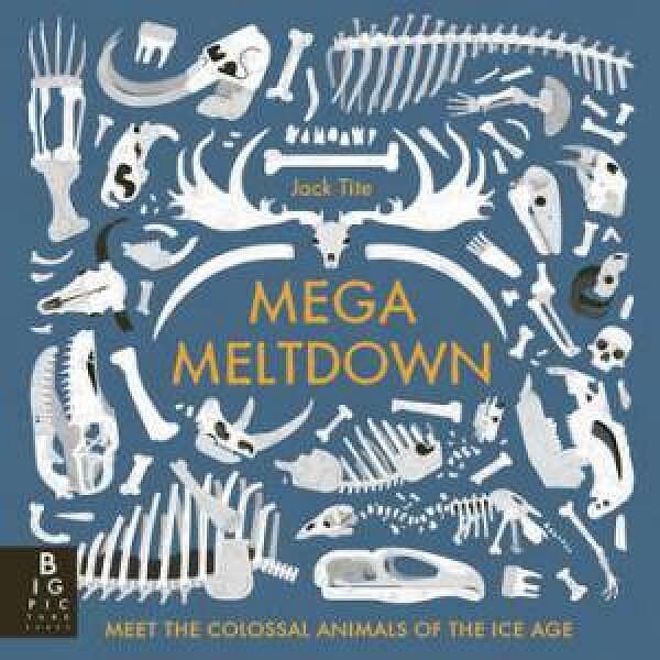 Mega Meltdown by Jack Tite Paperback book