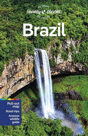 Lonely Planet Brazil 13 by Lonely Planet Travel Guide BOOK book