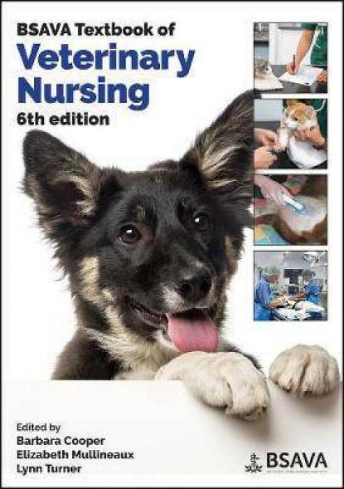 BSAVA Textbook Of Veterinary Nursing by Barbara Cooper & Elizabeth Mullineaux & Lynn Turne Paperback book