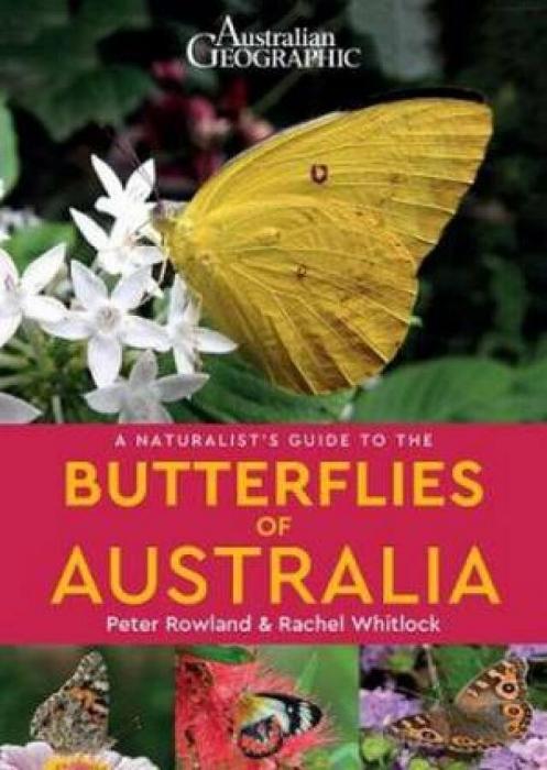 Australian Geographic A Naturalist's Guide To The Butterflies Of Australia by Peter Rowland Paperback book