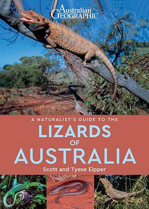 Australian Geographic: A Naturalist Guide To The Lizards Of Australia by Scott Eipper Paperback book