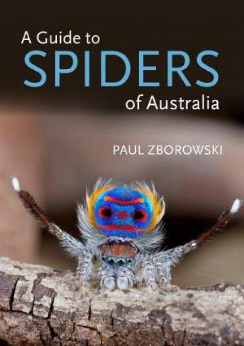 A Guide To Spiders Of Australia by Volker W Framenau Paperback book