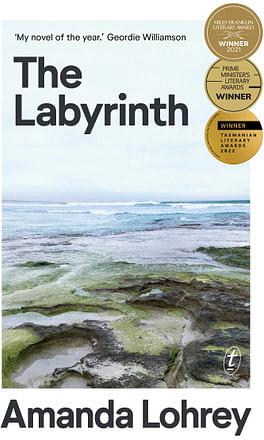 The Labyrinth by Am Paperback book
