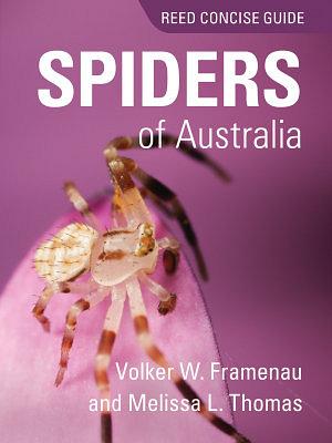 Reed Concise Guide To Spiders of Aus by Volker W. Framenau & Melis Paperback book