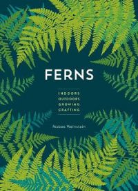 Ferns (mini)