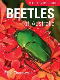 Reed Concise Guide to Beetles of Australia
