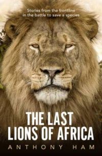 The Last Lions Of Africa