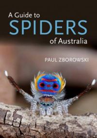 A Guide To Spiders Of Australia